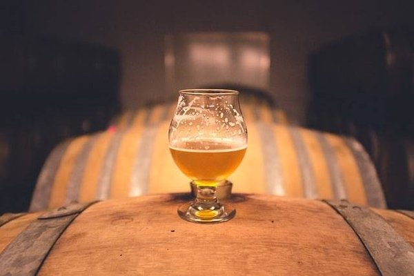 Le Guide Ultime Pour Choisir Votre Premier Fermenteur à Bière: Astuces et Conseils