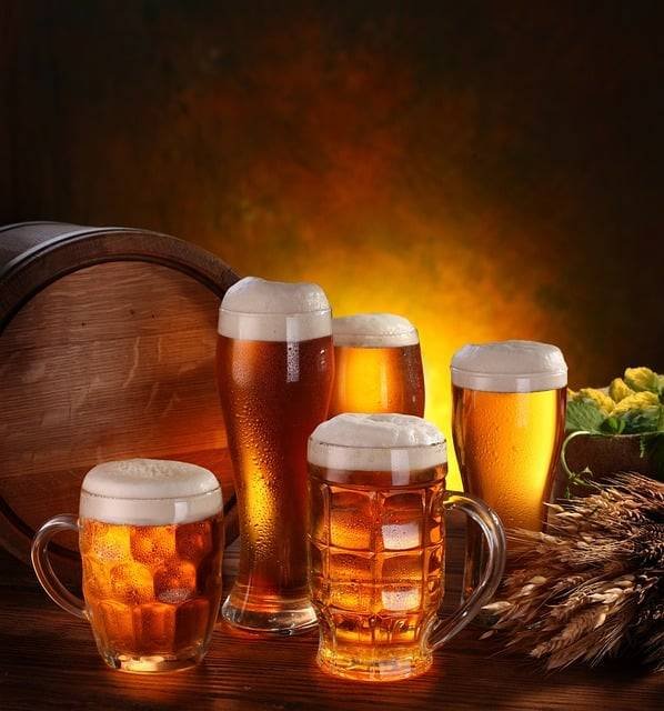 Les incontournables du festival de la bière : Découvrez les meilleures brasseries artisanales