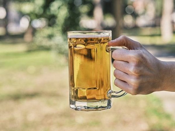 Les Secrets de la Fermentation de la Bière : Maîtrisez l'Art de la Brasserie chez Vous
