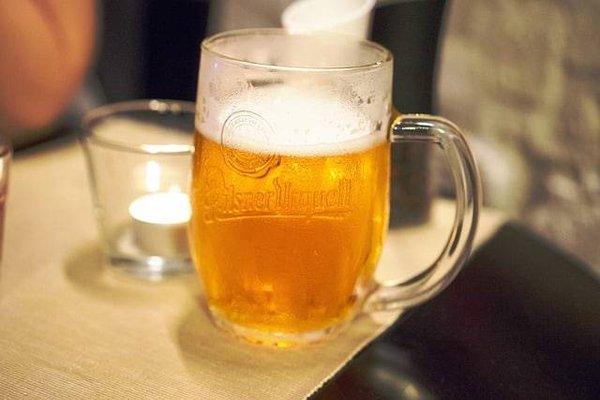Quelles sont les Vraies Différences entre une Ale et une Lager ?